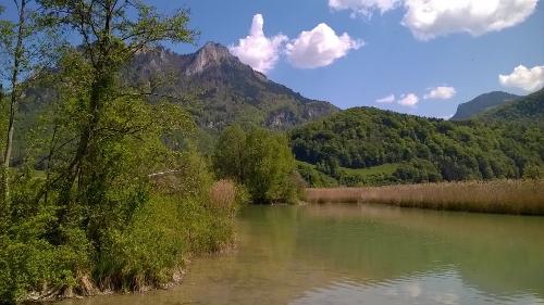 Vogelinsel am Inn