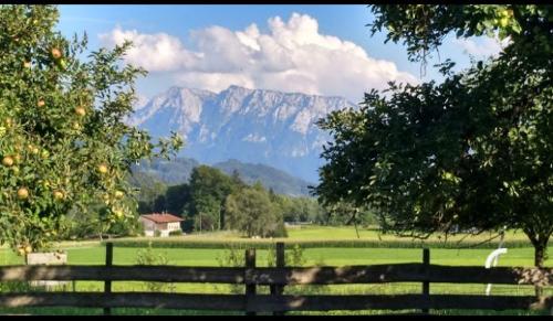 Blick vom Stall ins Kaisergebirge