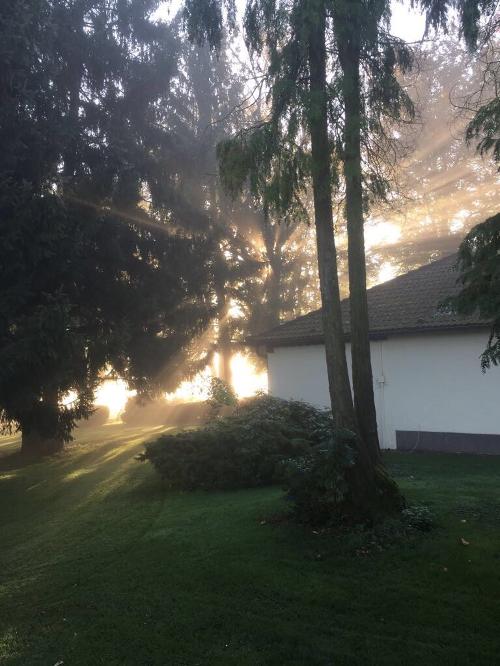 Magischer Nebel