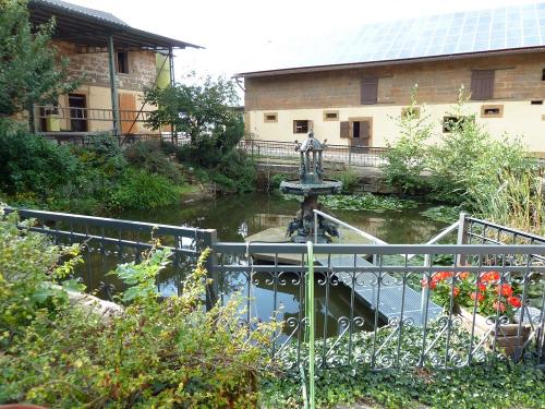 19e4ecaa-6016-4801-a365-418517408049