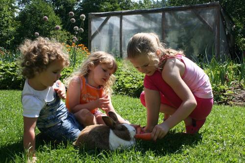 stroebelhof_kinder_hasen