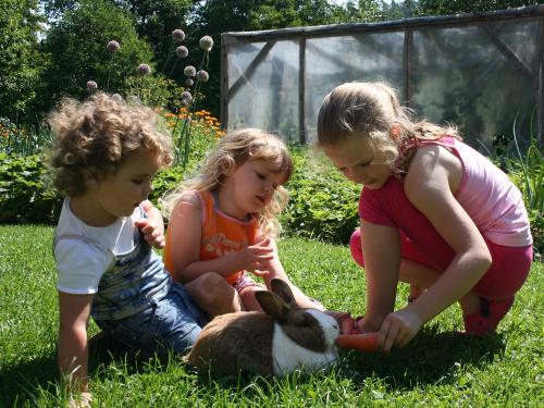 stroebelhof_kinder_hasen