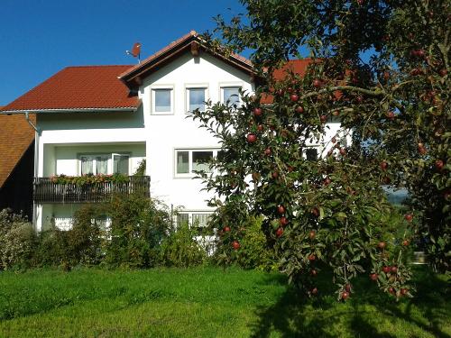 Im Herbst