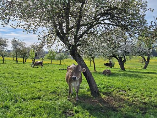 Endlich wieder Frühling!