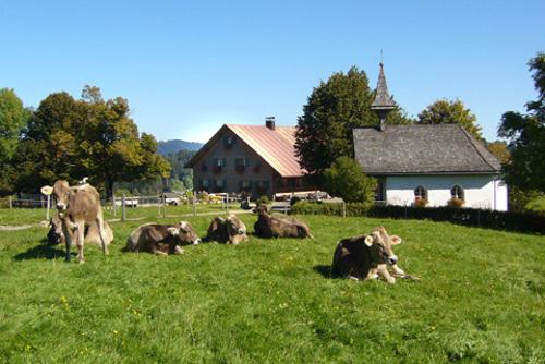 alpe