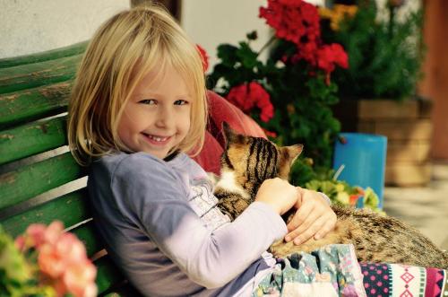 Katzen streicheln