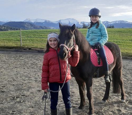 Reitspaß auf dem Pony Henry