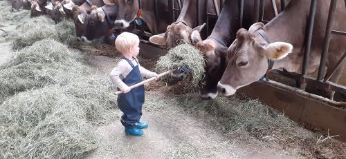kleine Helfer mit großem Einsatz