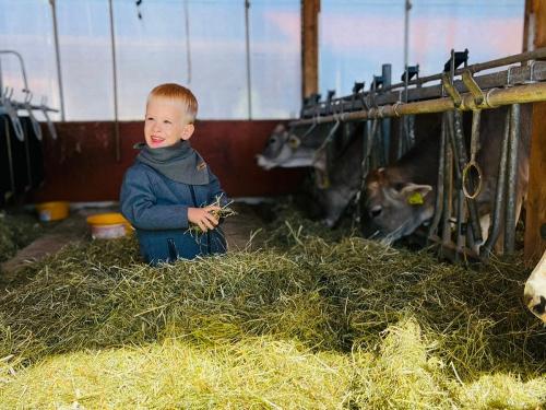 im Kälberstall ist was los im Kälberstall ist was los
