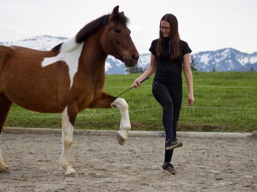 Pferdespaß Pferdespaß