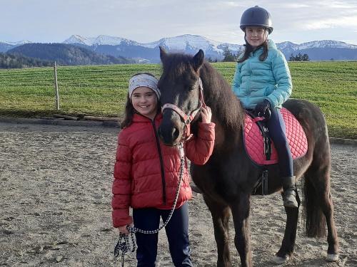 Reitspaß auf dem Pony Henry Reitspaß auf dem Pony Henry