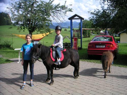Pony Violett mit Fohlen Garfield