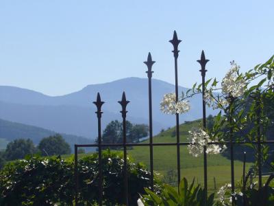 Der schöne Blick auf den Hochgrat