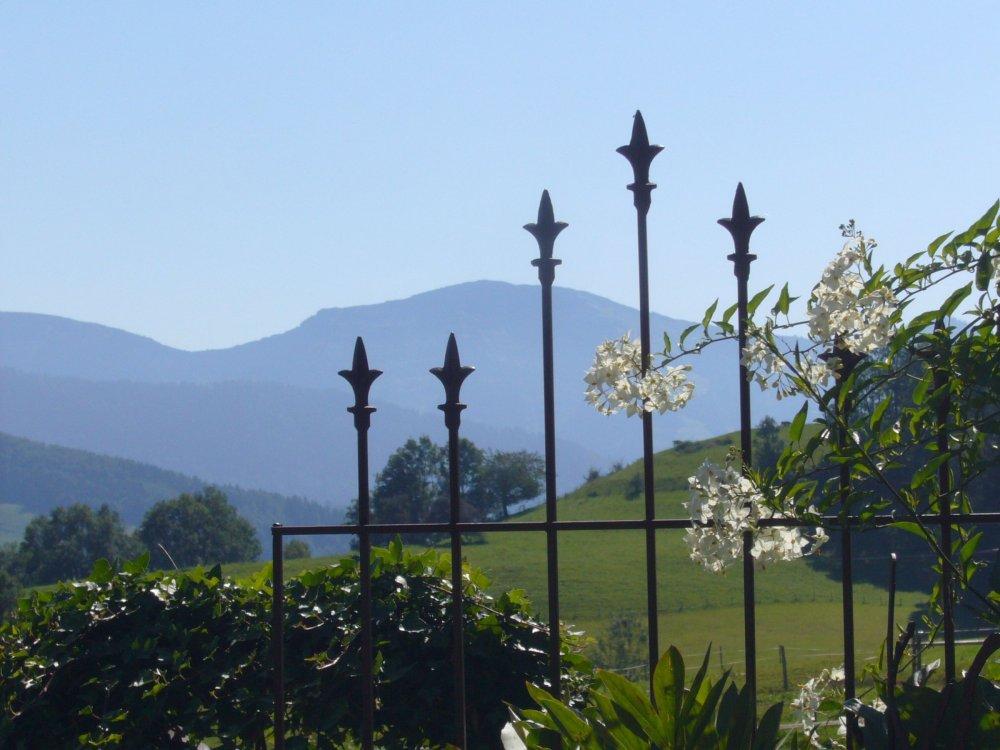 Der schöne Blick auf den Hochgrat