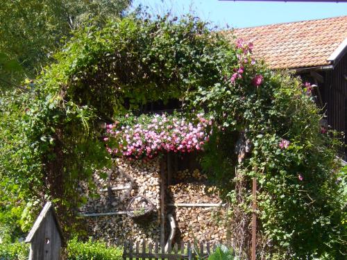 Gartenbilder für Werbung2012 014