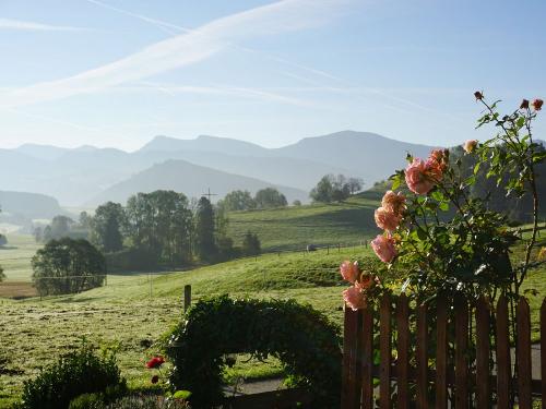 Test neue Kamera 028