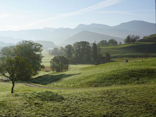 Test neue Kamera 018