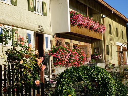 Test neue Kamera 020