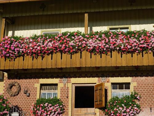 Test neue Kamera 024