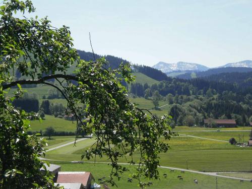 aussicht_2