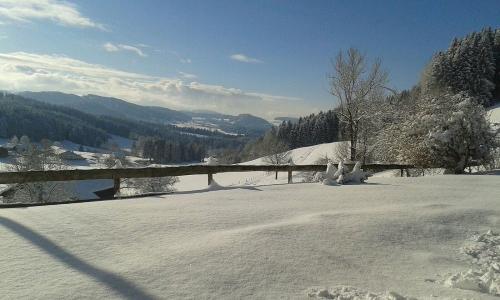 Winter im Allgäu