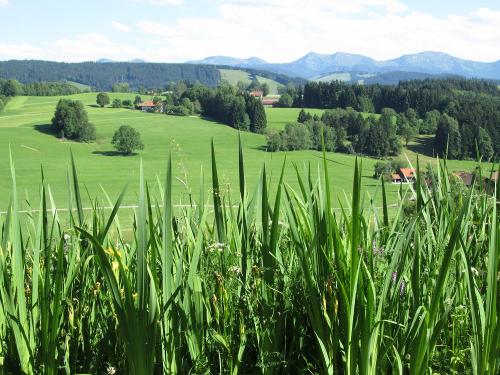 Ausblick