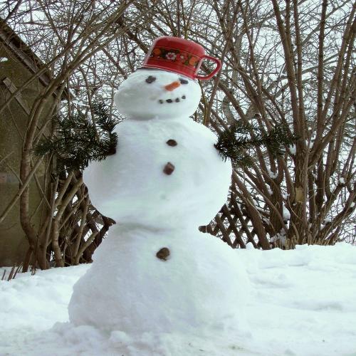 allg. Schneemann