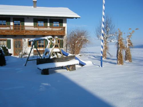 winter