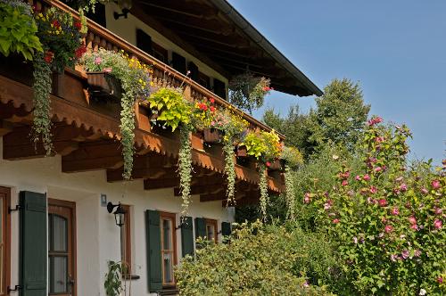 Blumenbalkon