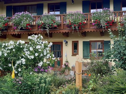 20250725_132844 20250725_132844