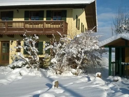 wp_20190111_021 wp_20190111_021