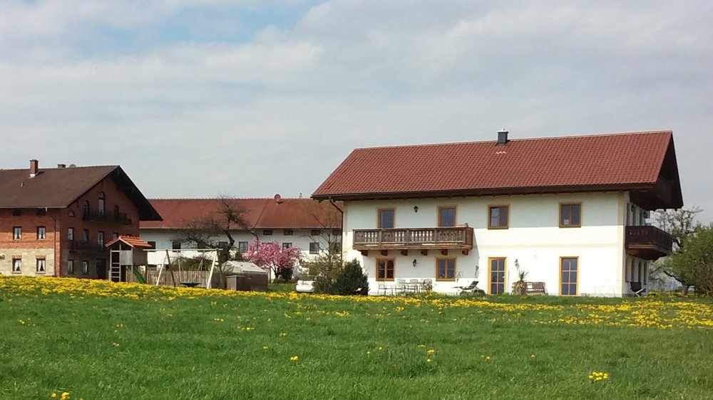 frienhausundspielplatz