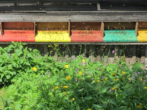 Am Bienenhaus
