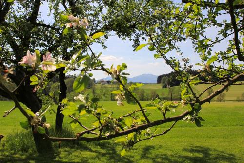 Frühling!