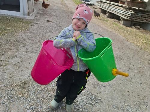 Fleißige Helferin beim Kälbchen füttern