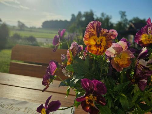 Ruhige Momente am Morgen