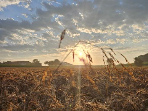 Augenblicke in der Natur genießen