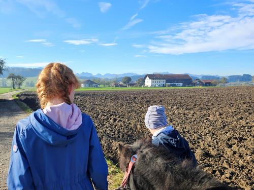 Ponyspaziergang Herbst