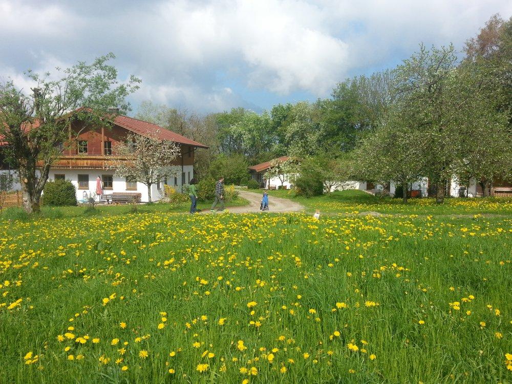 20130505_100434Hofansicht, rechts die Ferienhäuser
