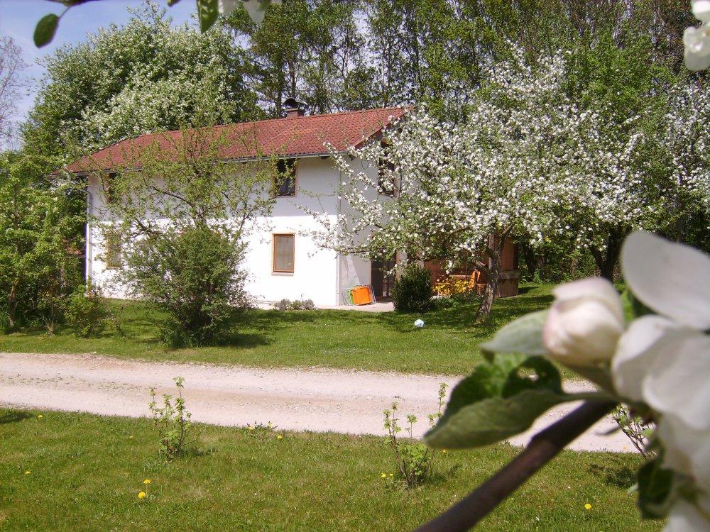 Ferienhaus Sonnenblume, 5 Sterne