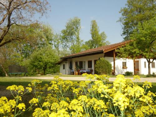 dsc01510Ferienhaus mit Doppelhaus Gänseblümchen und Margarite