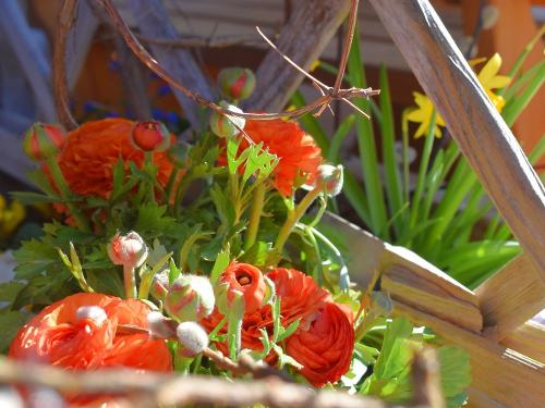 DSC_0606Frühlingserwachen Doblerhof
