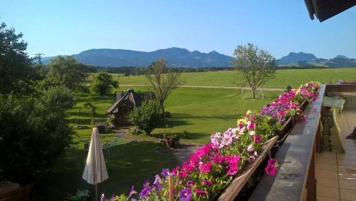 Chiemgauer Alpen