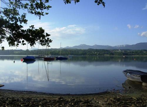 Simssee