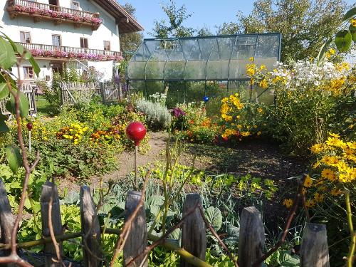 Bauerngarten
