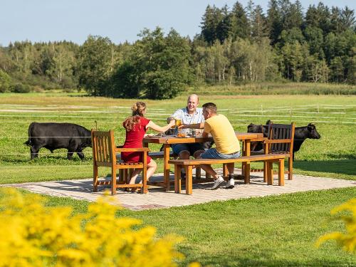Terrasse und Weide