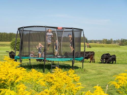 Trampolin