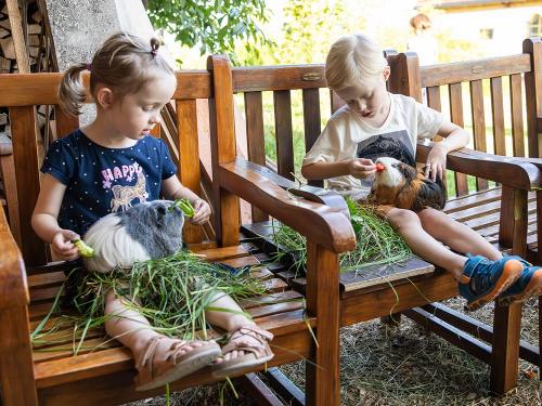 Tierfütterung Start