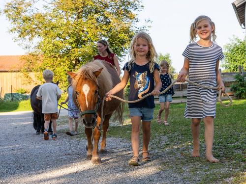Täglicher Ponyspaziergang Täglicher Ponyspaziergang