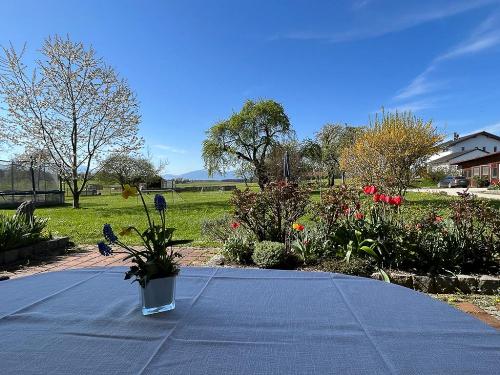 Fewo Hochgern Terrasse